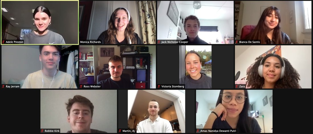A screenshot of a virtual Zoom meeting, attended by 11 of the Benzo Research Project.
